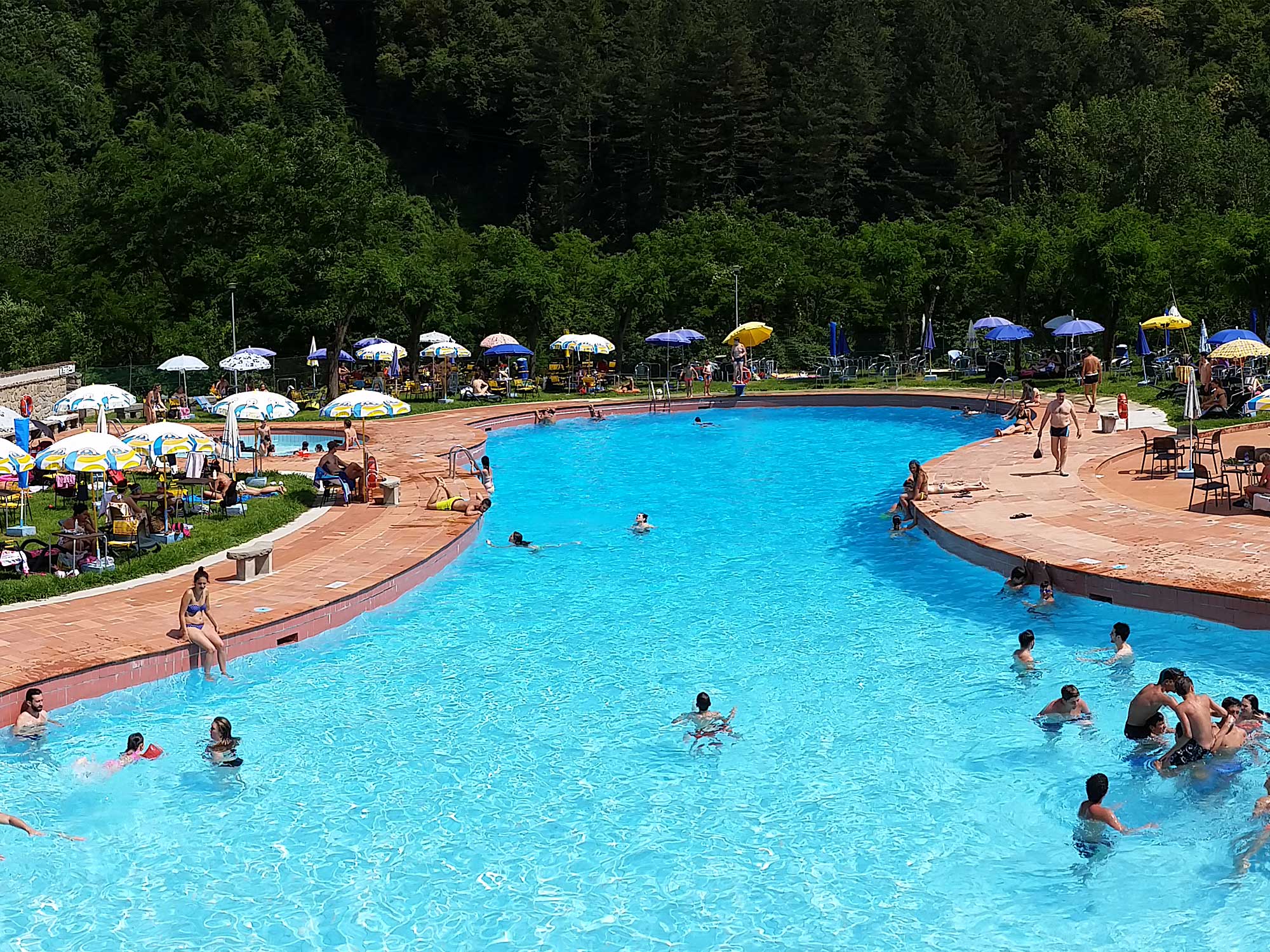 Two large swimming pools surrounded by the greenery of the Mugello